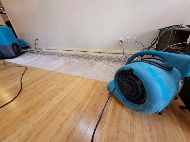 Professional Water Damage Repair technician working in Mexico, IN